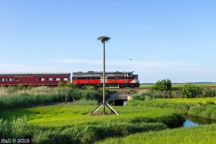 a train that is sitting on top of a grass covered field