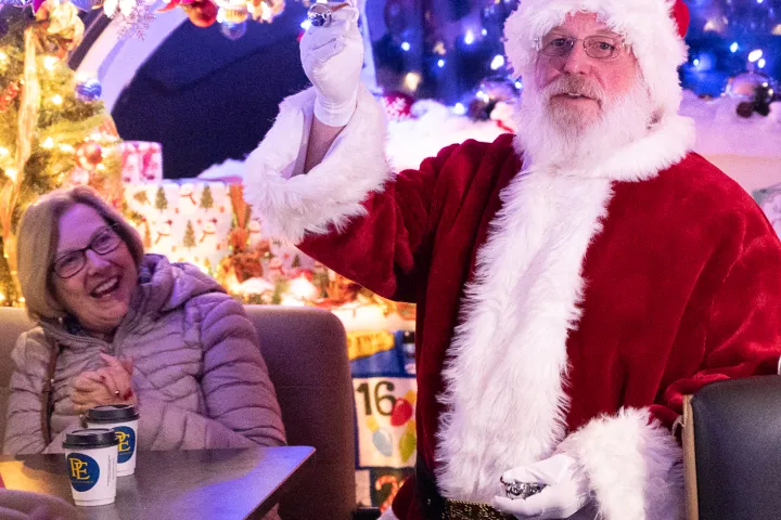 a group of stuffed animals