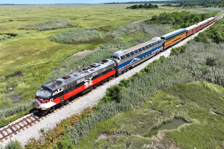 a train traveling through a lush green hillside