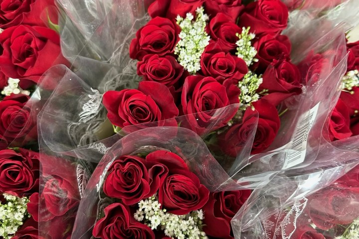 Bouquets of red roses with white baby's breath wrapped in clear plastic.