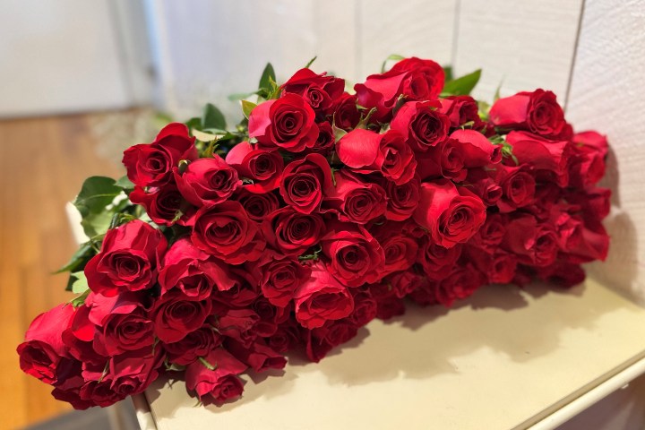 A large bouquet of red roses resting on a white surface indoors.